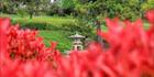 Japanese Garden - Cowra 